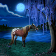 Leliana Lost OC- Full_20250319183917