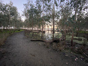 2022 (Jun) - Central (Nth) Qld Solo Trip(web) (135)