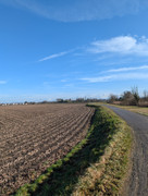 PXL 20260207 105648559