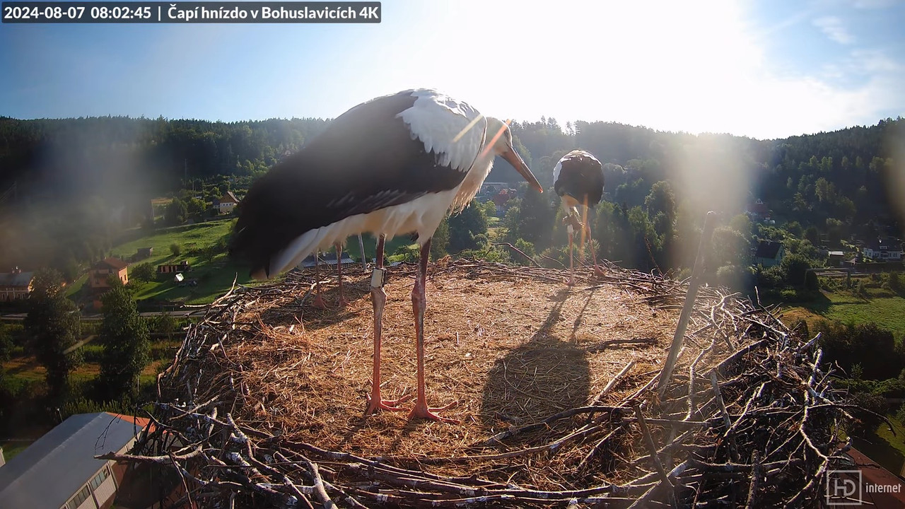 Tiešraidē no uzņēmuma KARA stārķa skursteņa Bohuslavicē pie Trutnovas 10-27-49 screenshot
