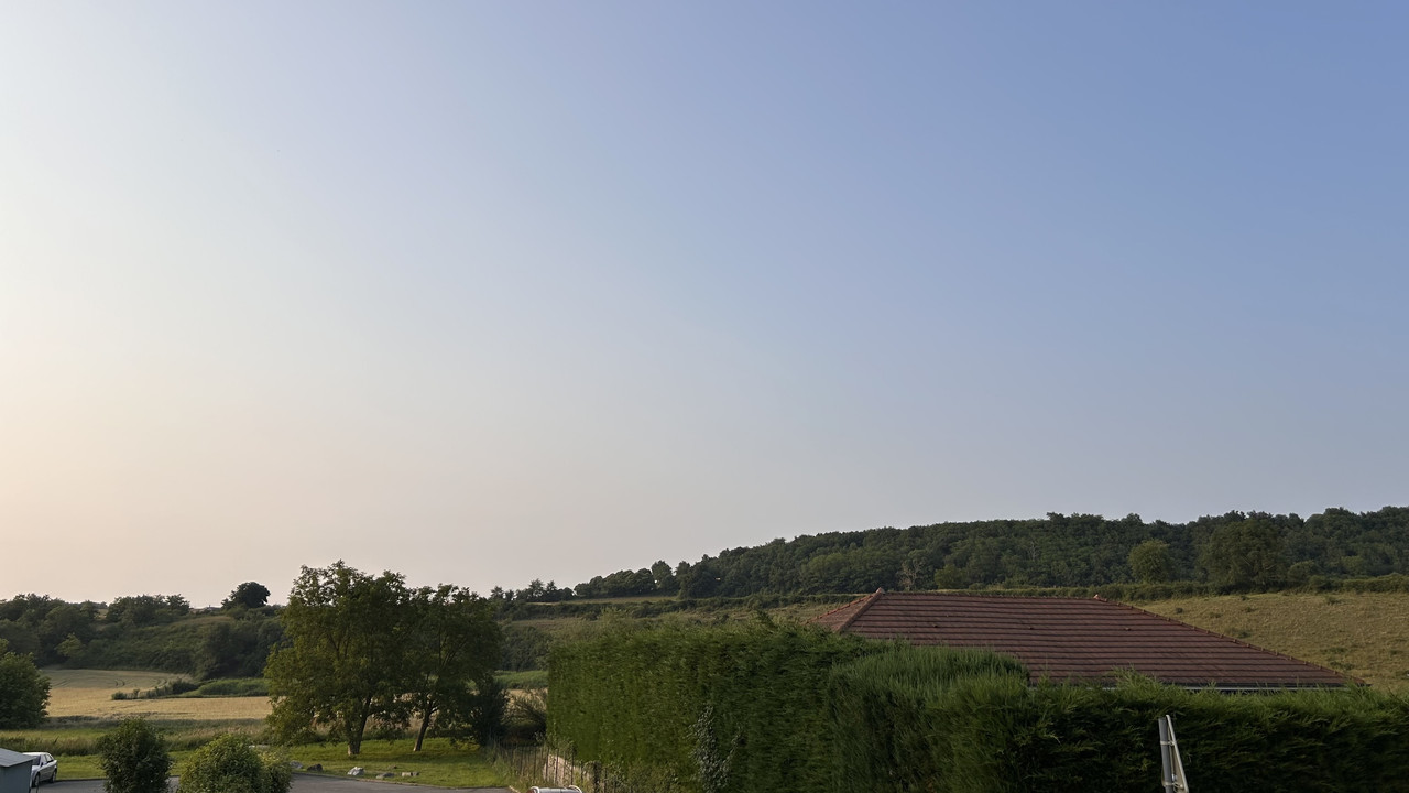 IMG-1370.jpg