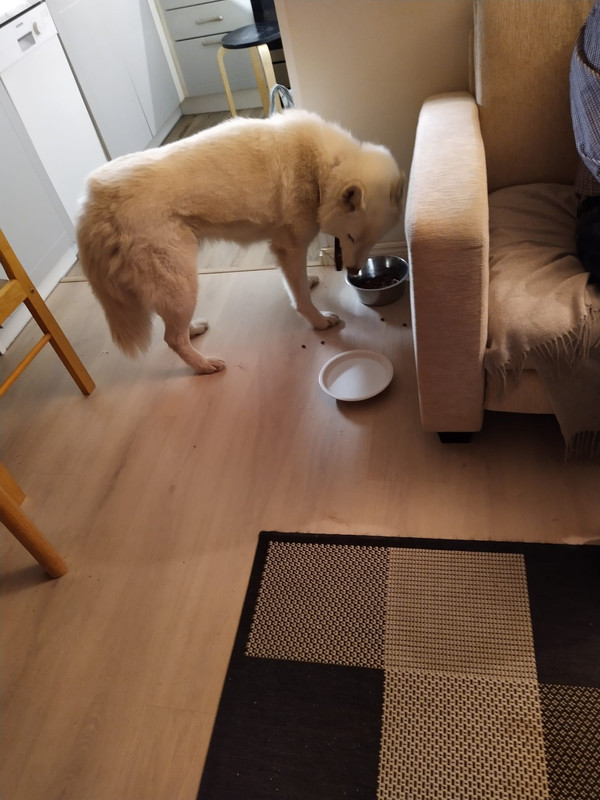 8FEFE3EA-AEF6-4910-A926-A53CB09BA16C