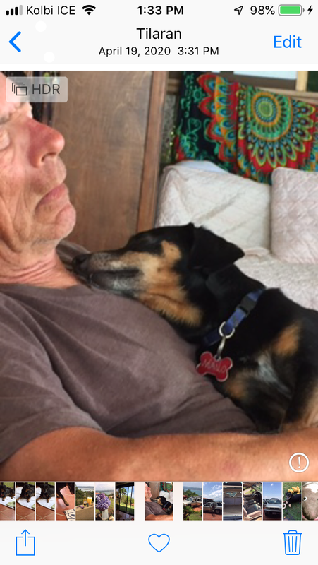 E88C3BF0-A306-4BD1-99E1-BE336050B6D8