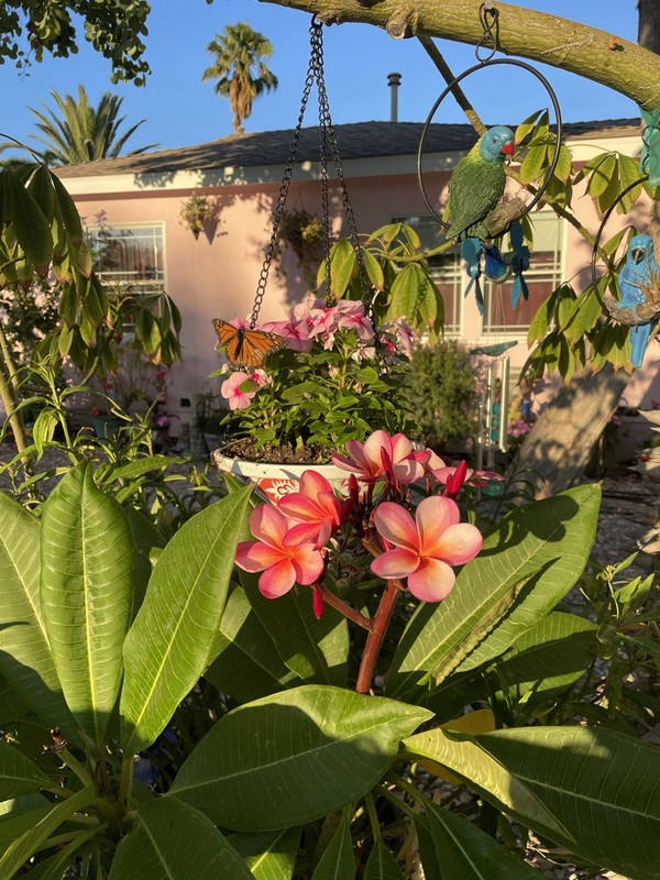 5D0AD317-FA24-4CEC-B4A5-9D878A7A1D9F_1_105_c