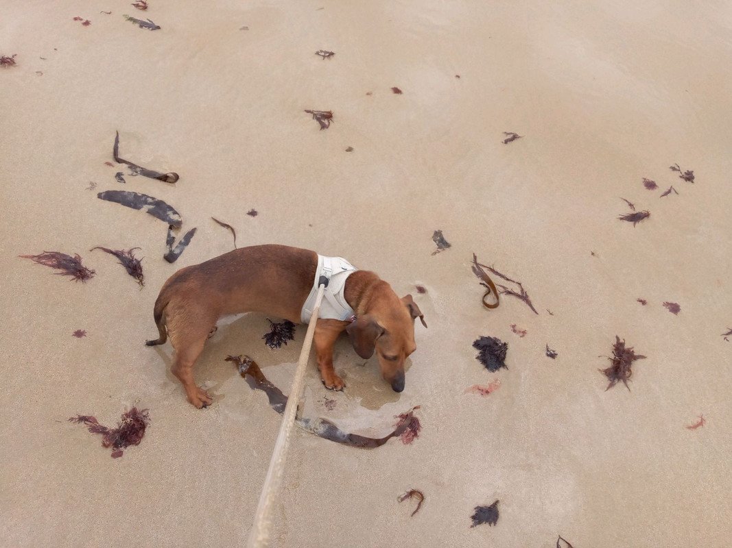 [Image: IMG-20240429-080539.jpg]