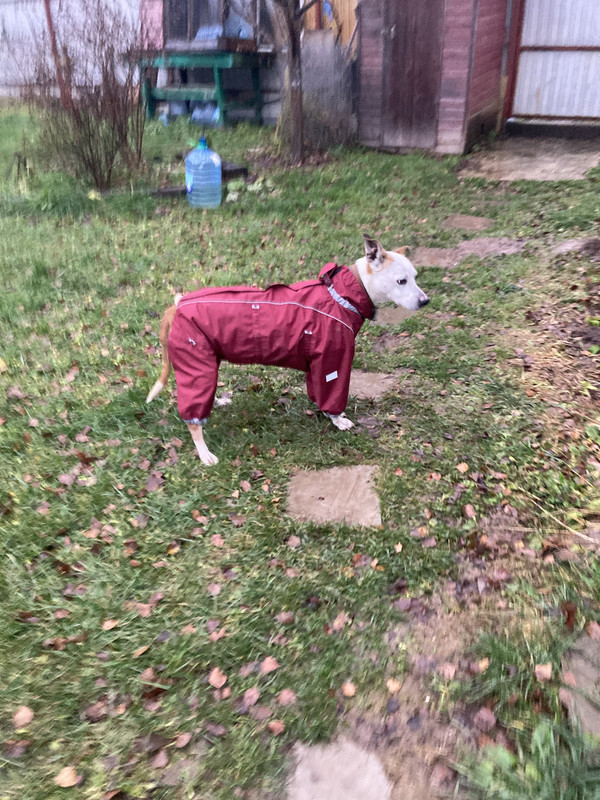 ED12286A-A72F-4F7D-BEED-C5C3C049AD6C