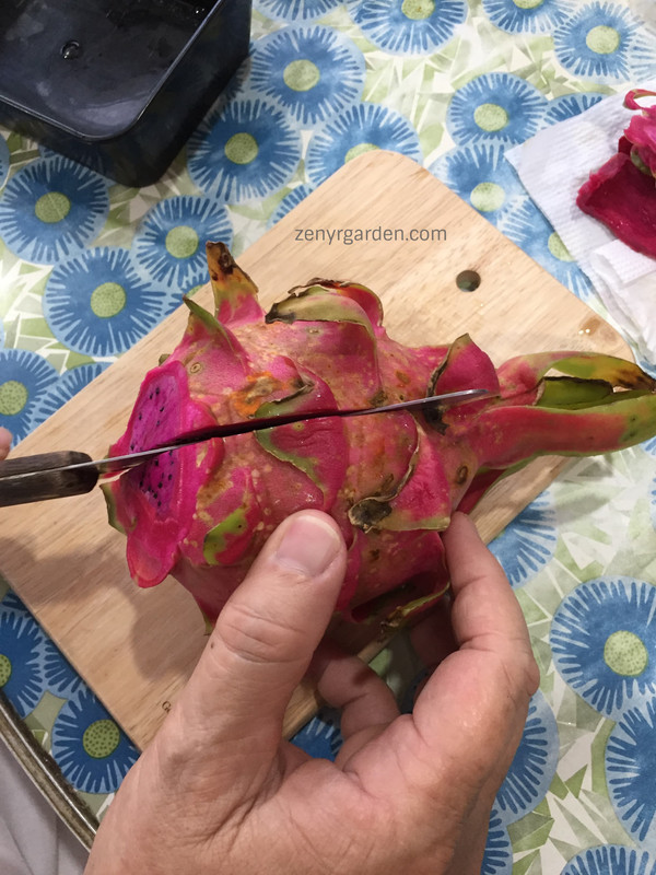 cutting-dragon-fruit-in-half.jpg