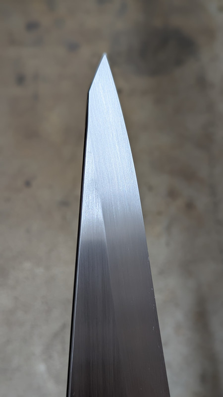 PXL_20230901_095305863.PORTRAIT