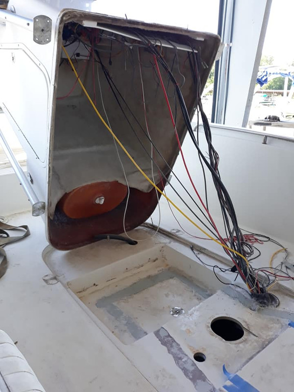 96659504_10158357941989913_2305982617125650432_n