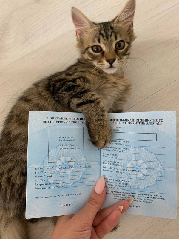 Тромбончик