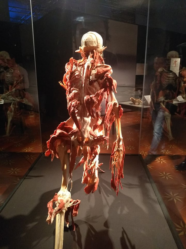 72833788_531897324051833_8680381277494312960_n