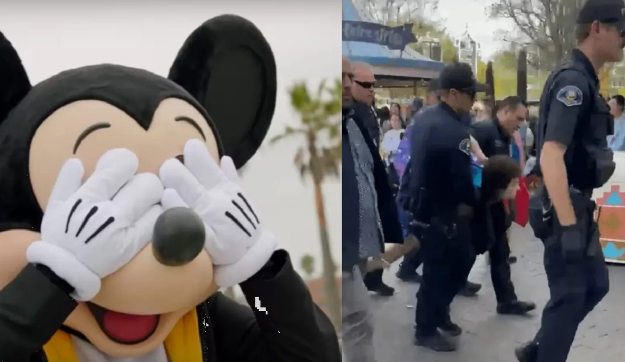 Pervertido se desnuda en una atracción de Disney en California: video