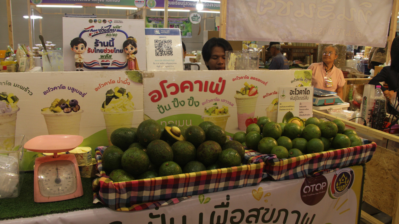 IMG-8691