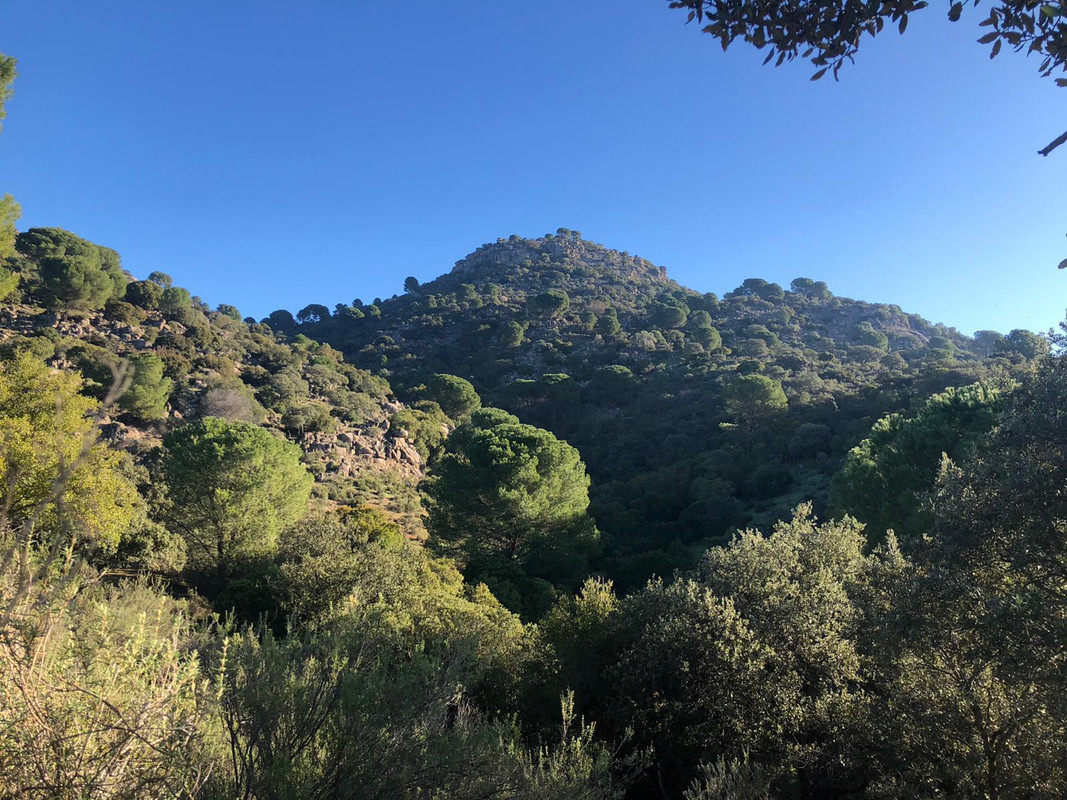 PHOTO-2020-01-16-17-22-28 (1)