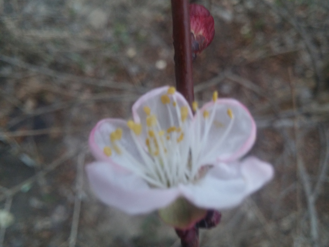 20190302_173203