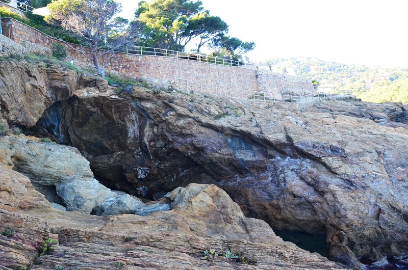 CALA SA TUNA Y SEA POOL-21-11-2017 - Gerona y sus pueblos-2016/2017 (14)