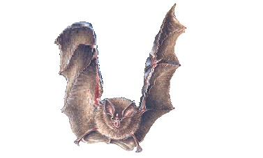 FCY5MAUHHARX7YMTUVU4A3TL52JWGLA4