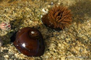 3DE66FCB-D9DB-49DF-AD4E-FE3697001FE2