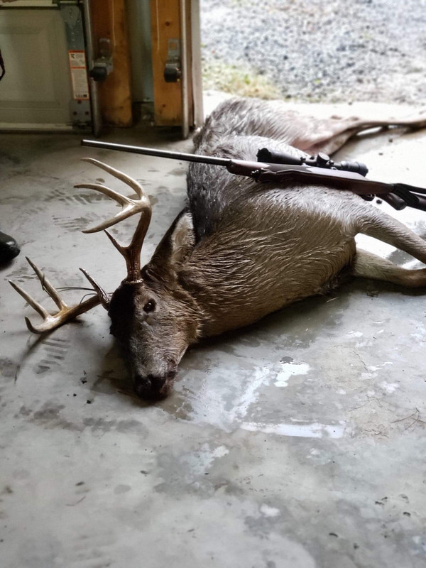 1DAB5AE3-175D-4942-9398-34ADB4025636