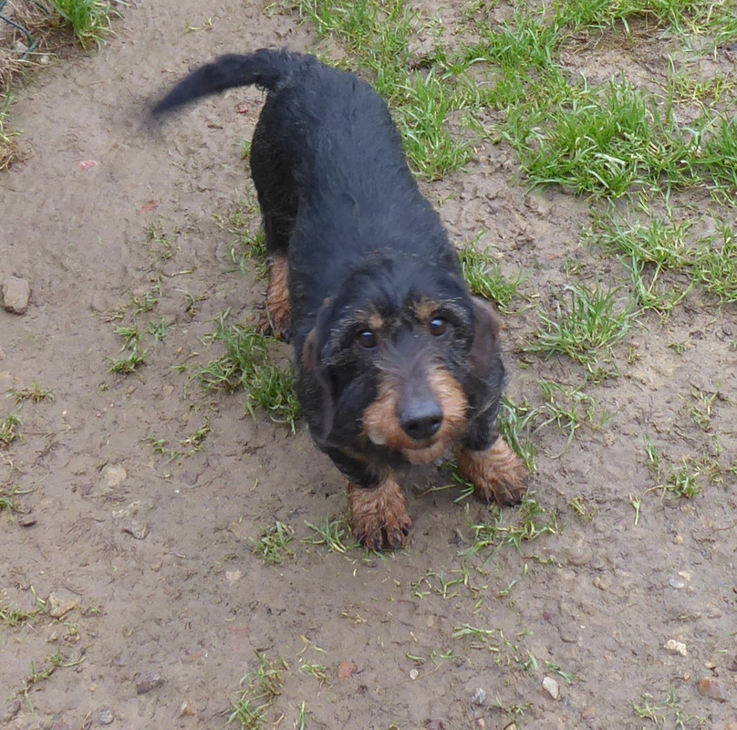 [Image: P1050781.jpg]