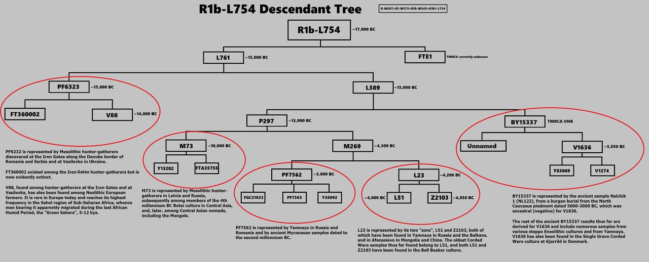 [Image: R1b-L754-Descendant-Tree-w-large-print-notes.jpg]