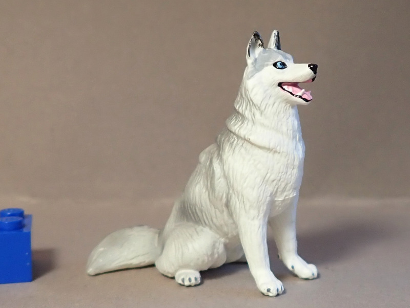 2021 STS Dog Figure of the Year! Eikoh79835-Husky