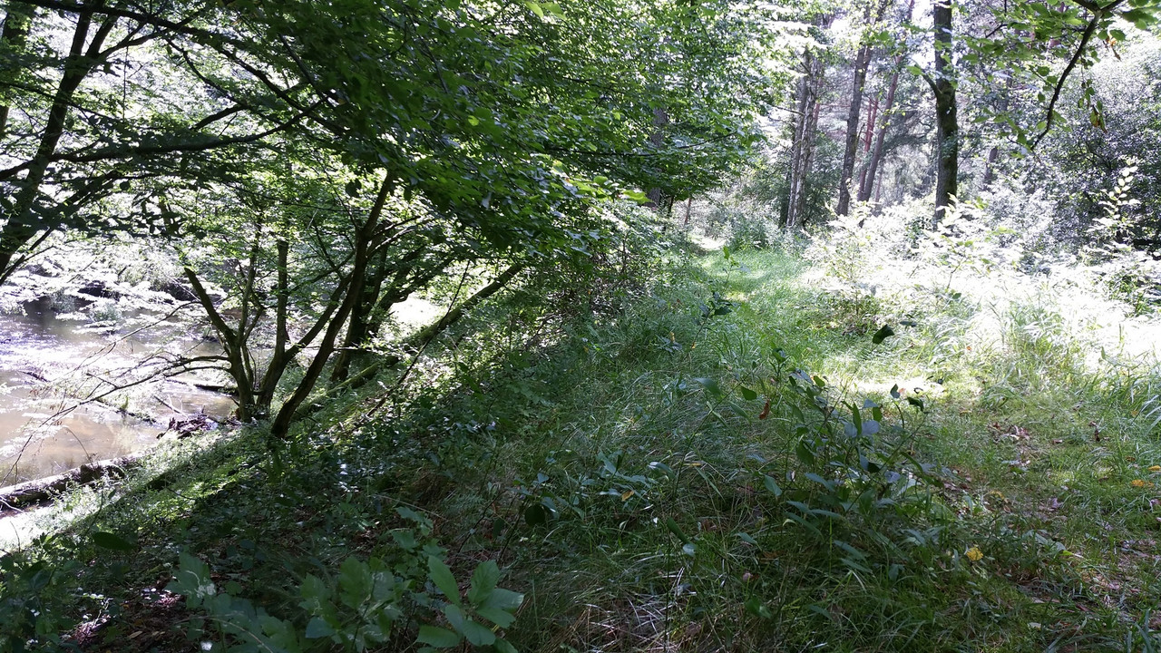 20170813-130555.jpg