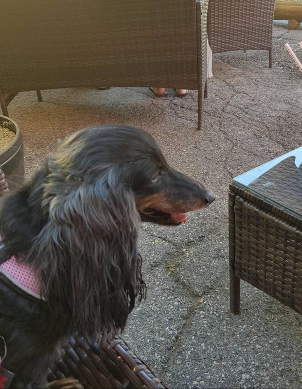 [Image: IMG-20250524-WA0009.jpg]