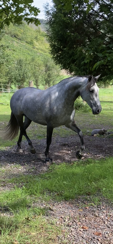 E13EC97F-7E0A-4220-A352-2358F5A62229