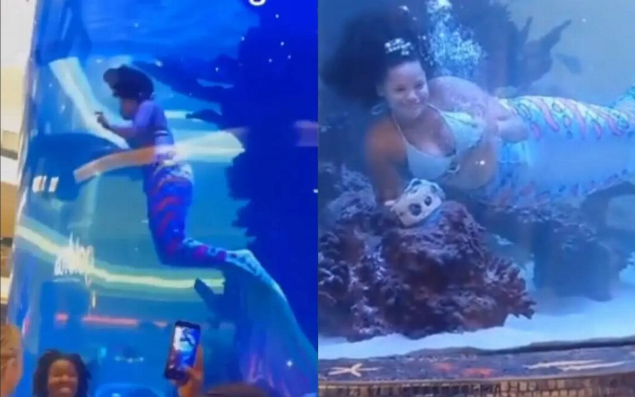 Sirena casi muere en acuario de Sudáfrica, se quitó la ropa para salvarse: video