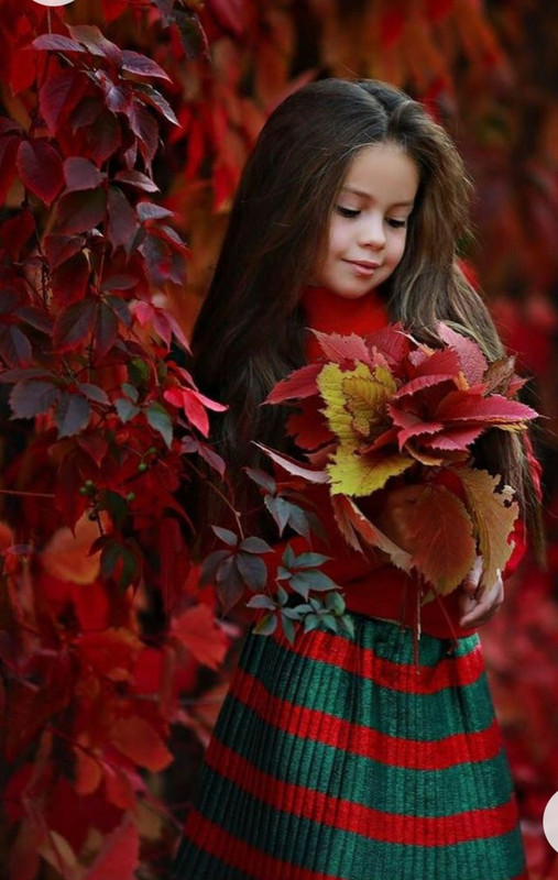 Screenshot_20230211_172519_Chrome