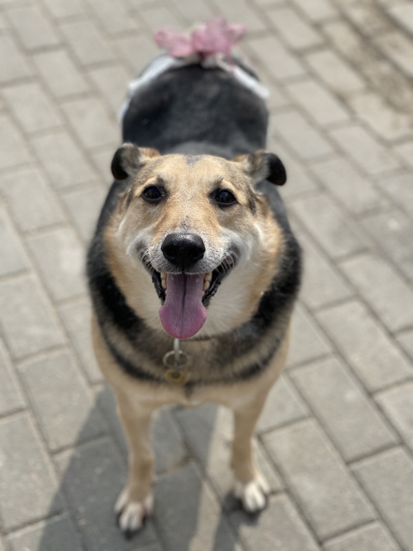 52A7111A-DFFE-4443-B604-C5F1712A3A2B