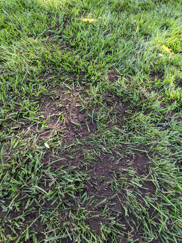 PXL_20210905_215056061