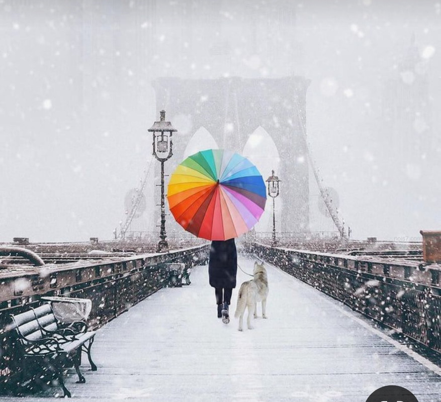 Screenshot_20231205_181136_Pinterest