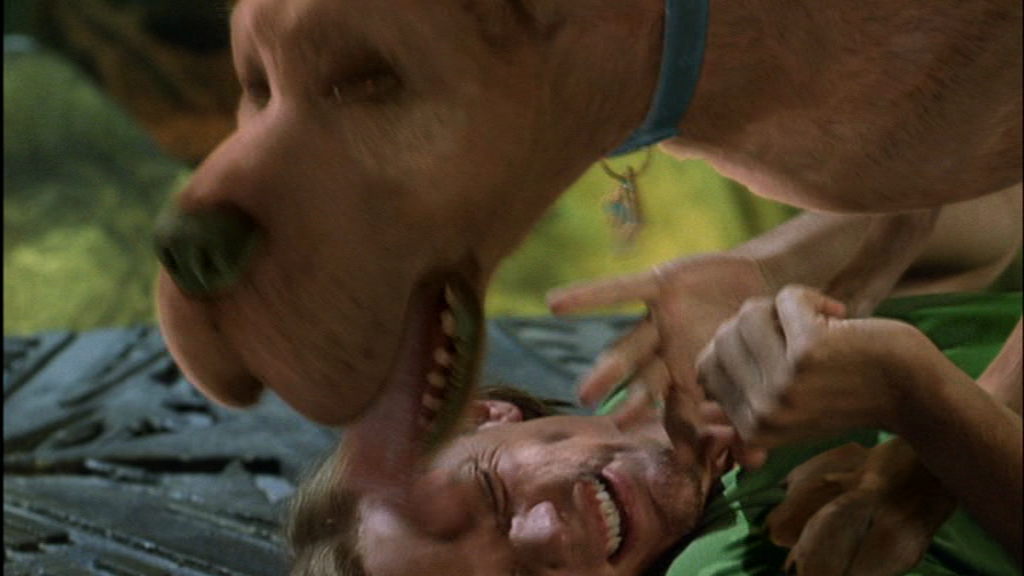 vlcsnap-2022-12-10-23h05m59s295