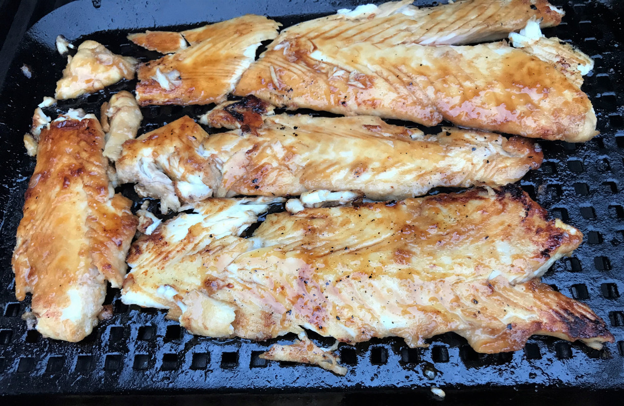 fish1