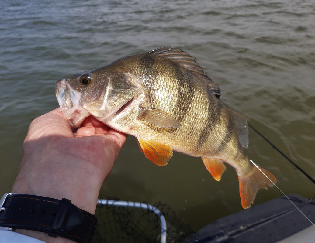 20210901_141710 — копия