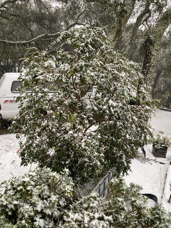 54804210-6521-40B0-9EF3-A6E5B0F419AD