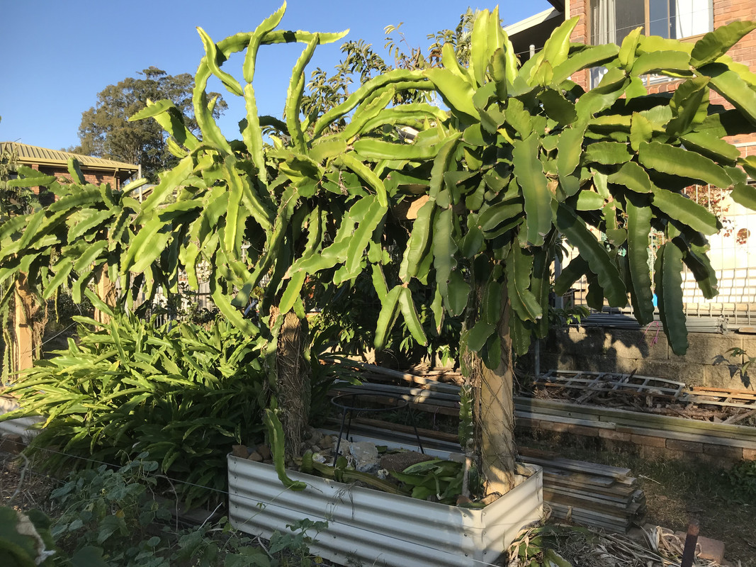 FBE4450E-D7F6-4AAF-8943-CF000743C1C6