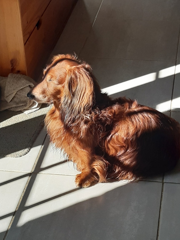 [Image: Resized-20231006-123315.jpg]