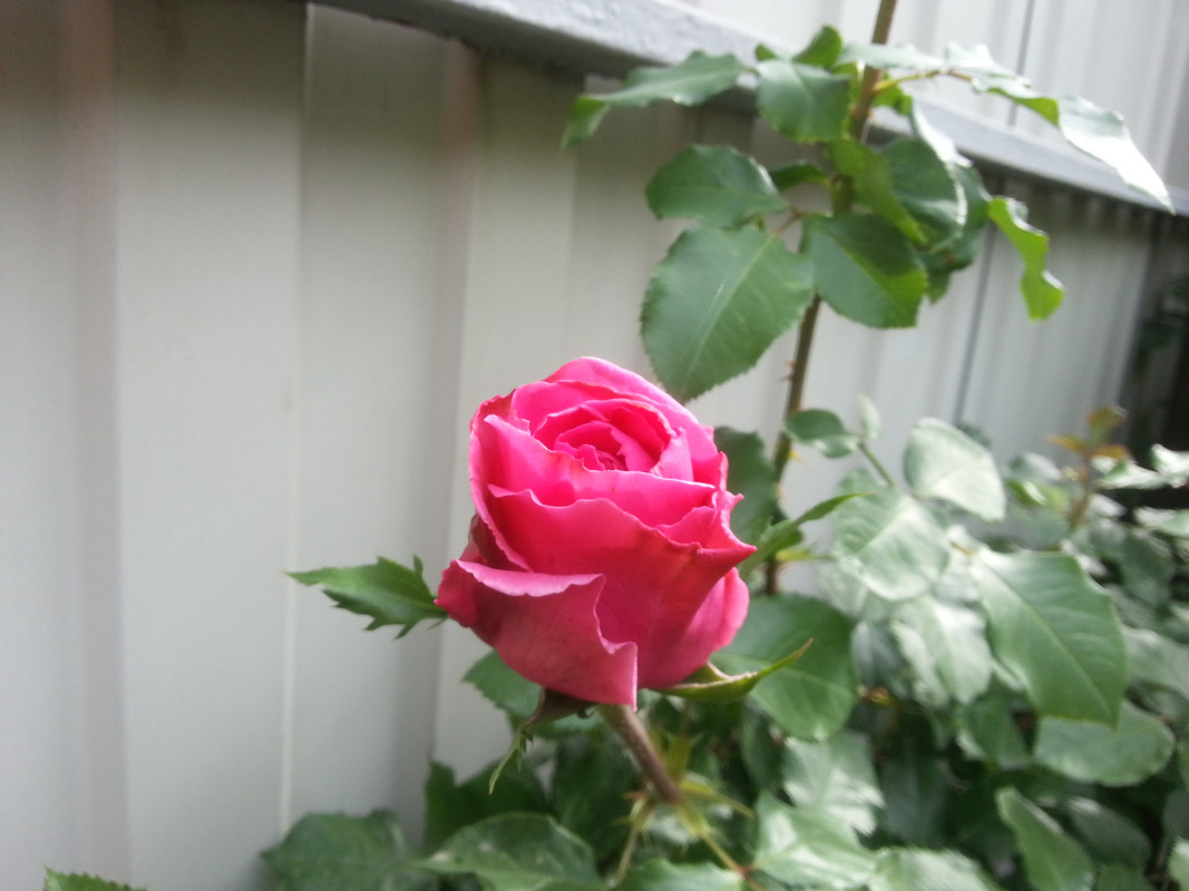 20180518_081301
