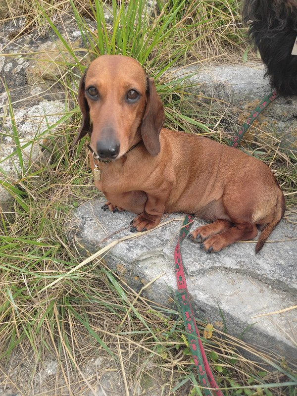 [Image: IMG-20240720-185729.jpg]