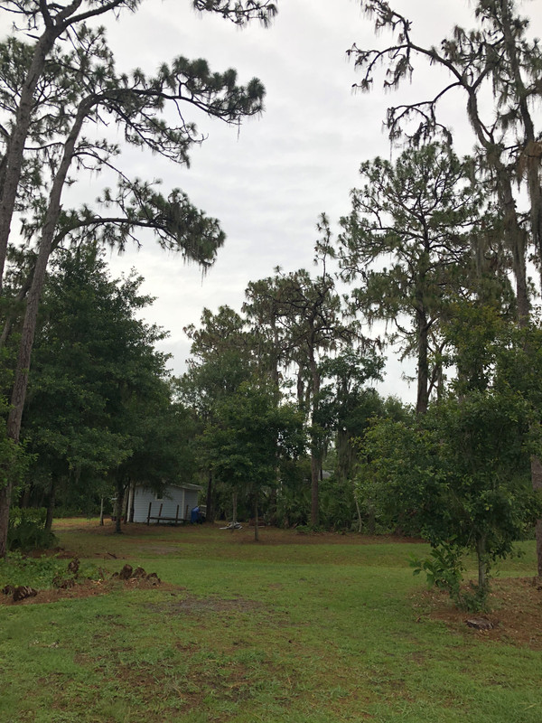 0E335C5E-0AD9-4D8A-9873-6FCEFE18FBC8