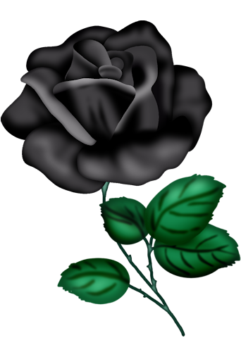 CSDesigns- El 37