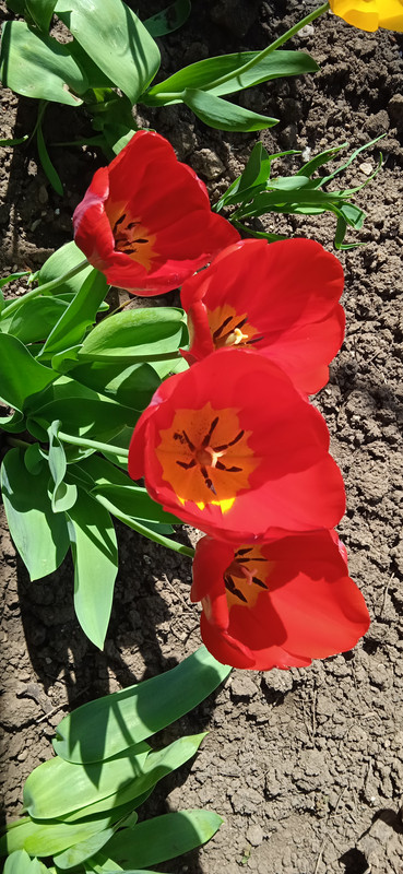 IMG_20240408_120852[1]