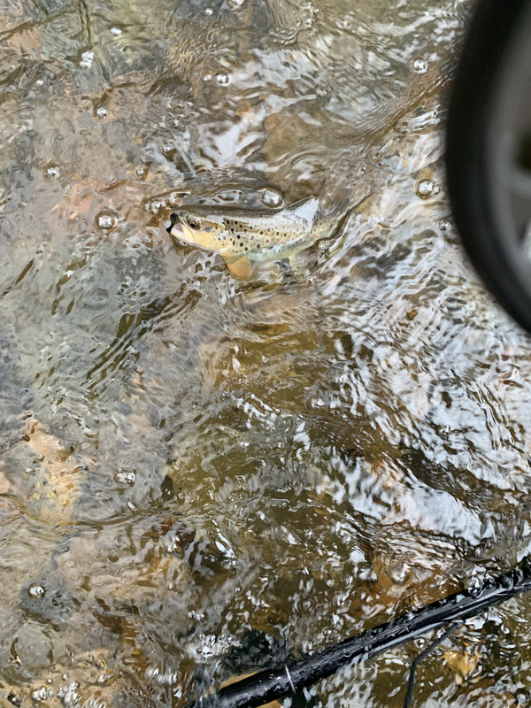 C042B948-4EA3-4FC3-A8AE-8A34FC60A62A