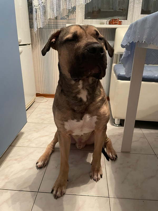 F7B71C0A-8F6B-4DF8-8F09-E02671B9679E