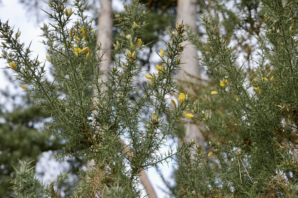 A243374F-B127-4967-A7D7-B4BF4AE1B63D