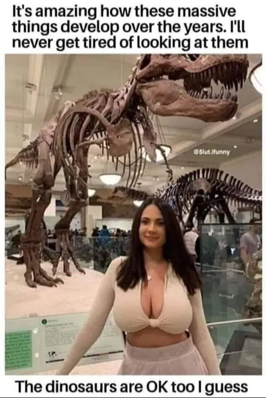 Screenshot 2026 04 21 at 08 32 28 Post a MEME Thread Page 5701 Yellow Bullet Forums