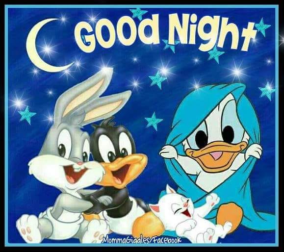 DUCK-NIGHT
